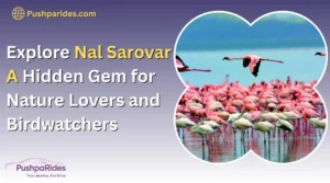 Explore Nal Sarovar: A Hidden Gem for Nature Lovers and Birdwatchers Near Ahmedabad